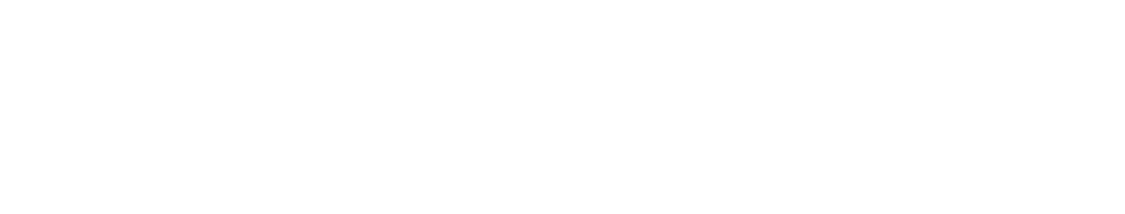 Toolsaday Text Logo